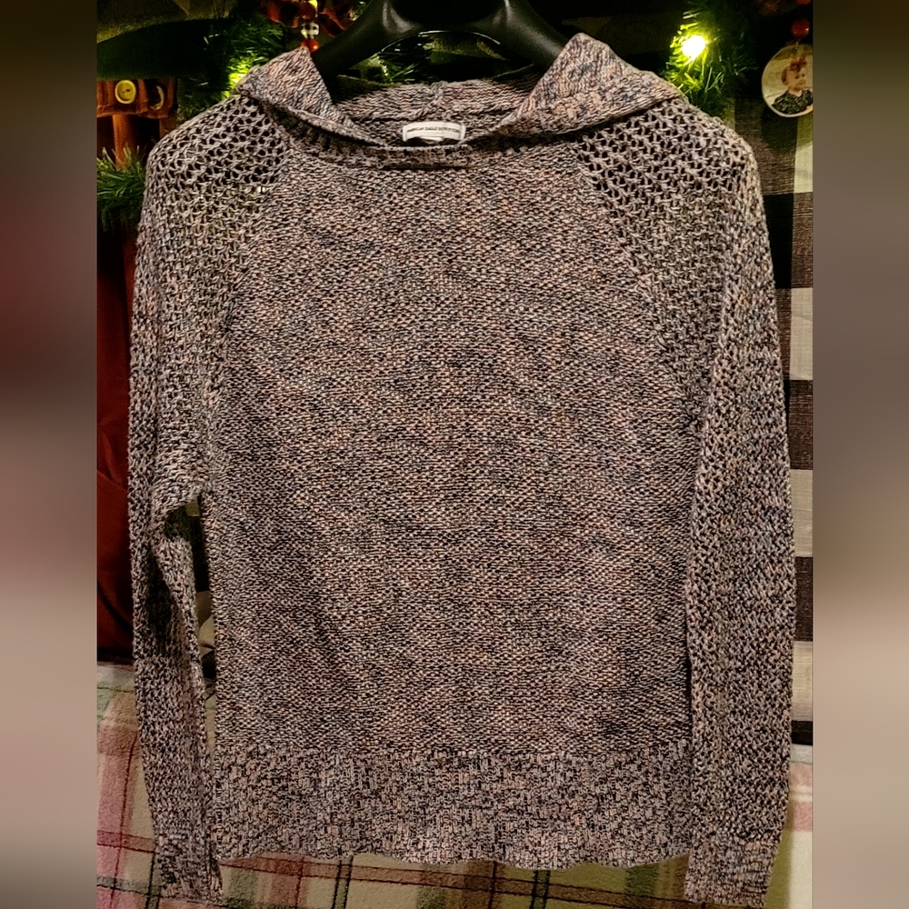 AE Hooded Sweater